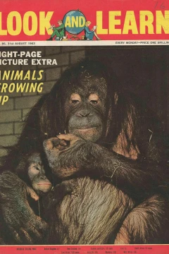 Issue #85
