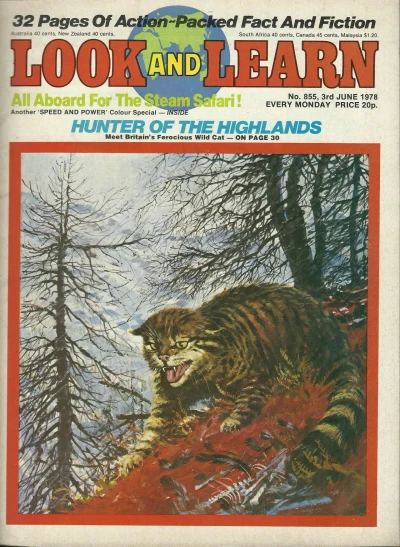 Cover of Issue #855