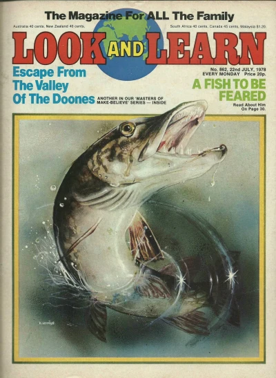 Cover of Issue #862
