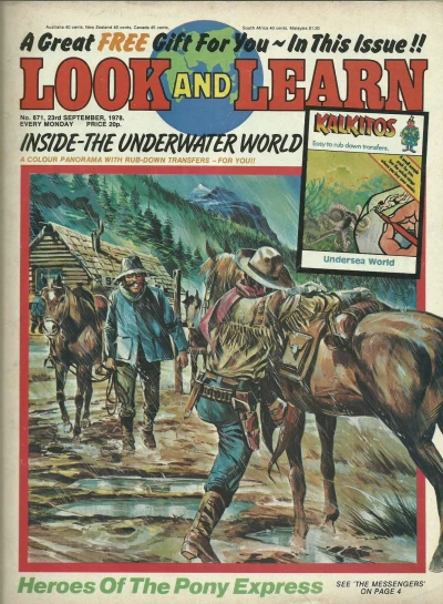 Cover of Issue #871