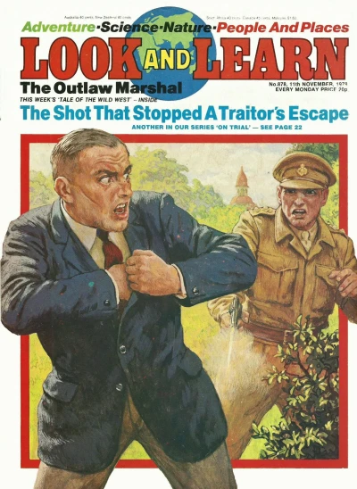 Cover of Issue #878