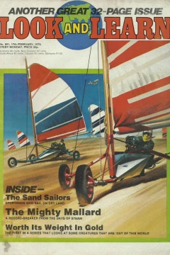 Issue #891