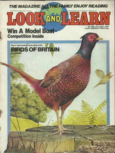 Cover of Issue #906