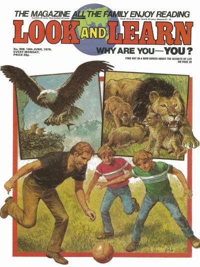 Cover of Issue #908