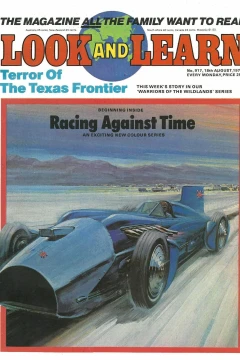 Issue #917