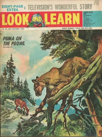 Cover of Issue #93