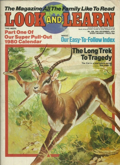 Cover of Issue #936
