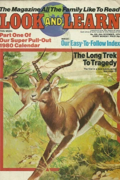 Issue #936