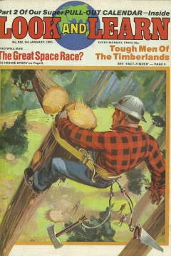 Issue #982