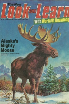Issue #991