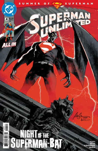 Cover of Look Up In The Sky! It's A Bat!
