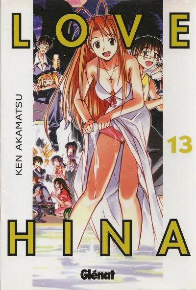 Cover of Volume #13
