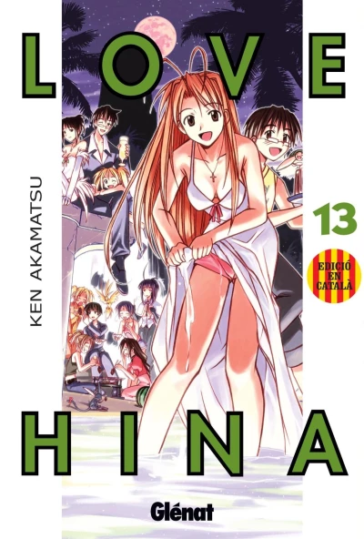 Cover of Vol. 13