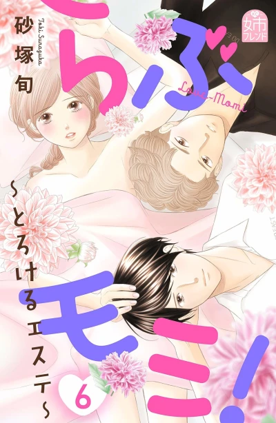 Cover of Volume 6