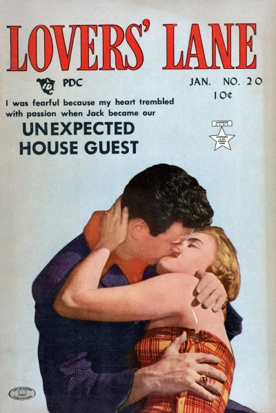 Cover of Issue #20