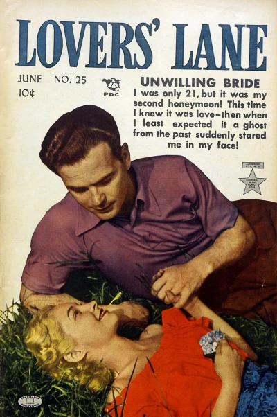 Cover of Issue #25