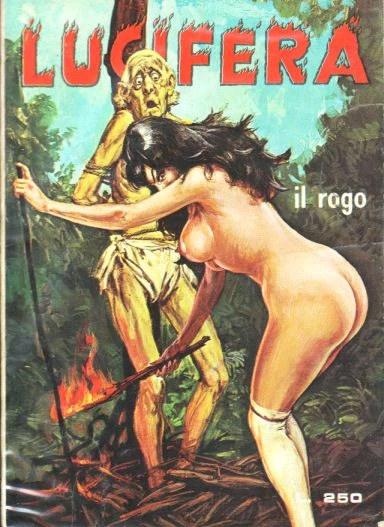 Cover of Il Rogo