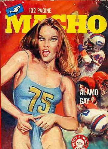 Cover of ALAMO GAY