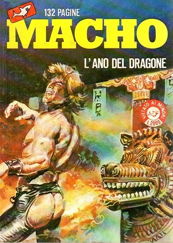 Cover of L'ANO DEL DRAGONE