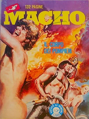 Cover of IL CORPO DEI POMPIERI