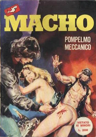 Cover of POMPELMO MECCANICO