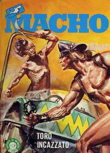 Cover of TORO INCAZZATO