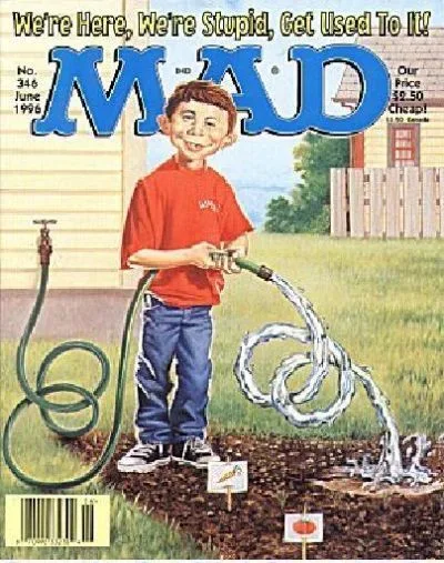 Cover of Issue #346