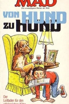 Von Hund zu Hund