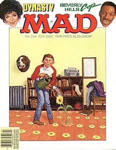 Cover of Issue #256