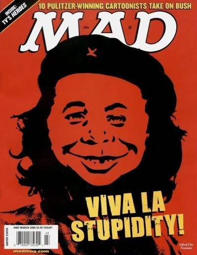 Cover of Viva La Stupidity!