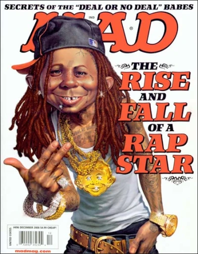 Cover of The Rise and Fall of a Rap Star