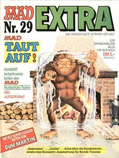 Cover of Issue #29