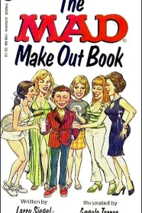 The Mad Make Out Book