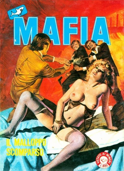 Cover of Il malloppo scomparso
