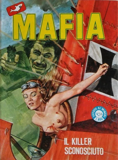 Cover of Il killer sconosciuto