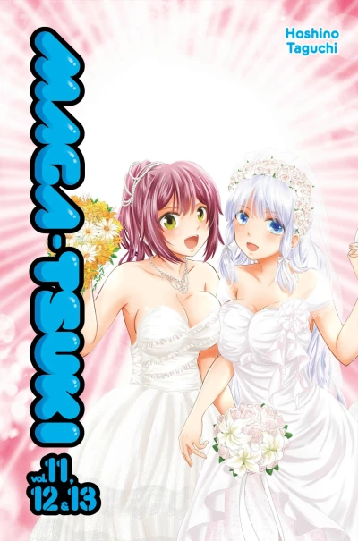 Cover of Vol. 11, 12 & 13