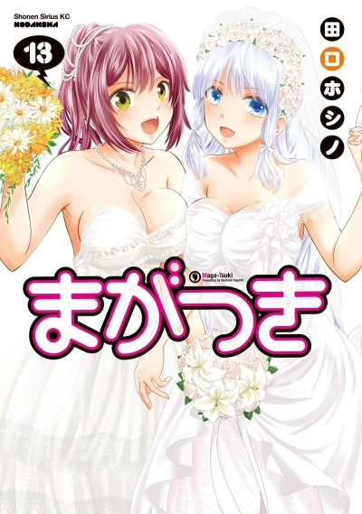 Cover of Vol. 13