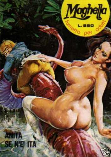 Cover of Anita Se N'è Ita