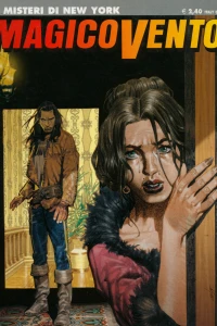 I misteri di New York