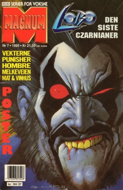 Cover of Issue #199507