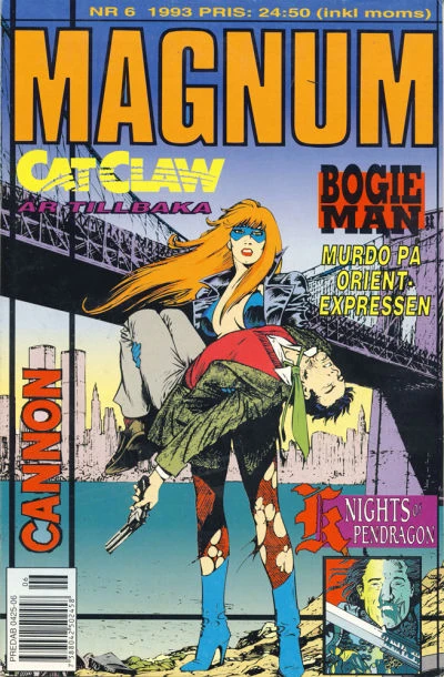 Cover of Issue #199306