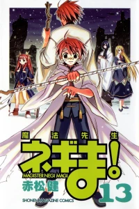 Vol. 13