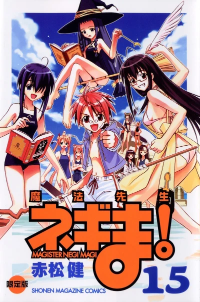 Cover of Vol. 15