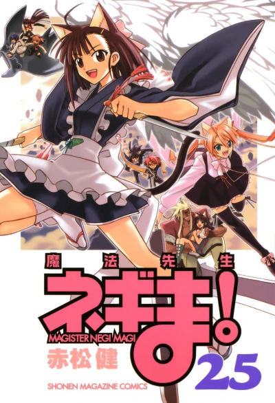 Cover of Vol. 25