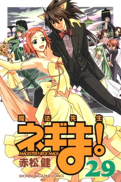 Cover of Vol. 29