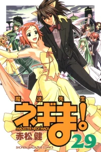 Vol. 29