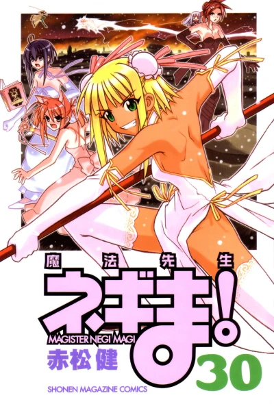 Cover of Vol. 30