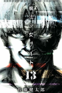 Vol. 13