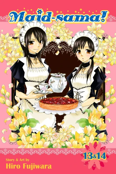Cover of Vol. 13 & 14
