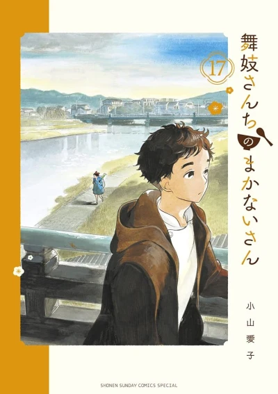 Cover of Vol. 17